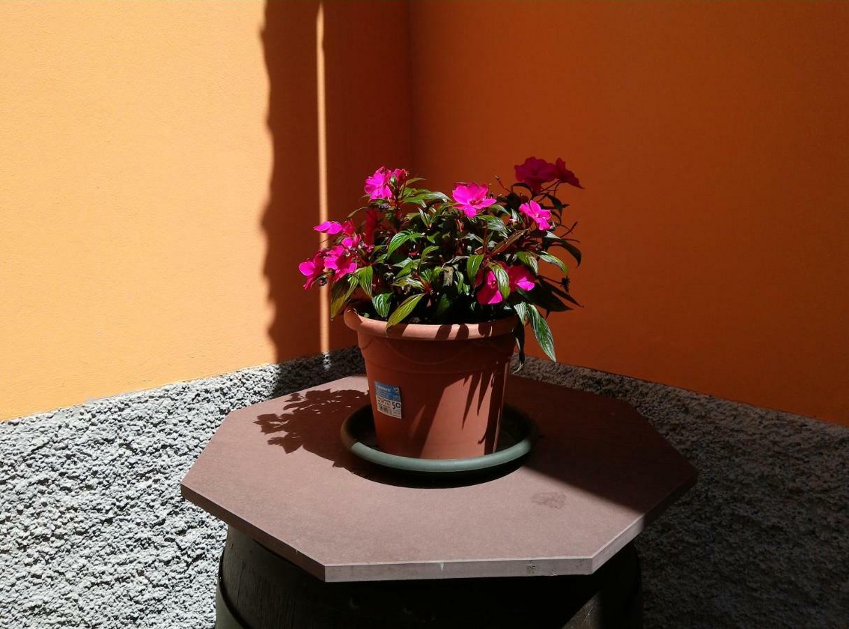 Casavacanzaicolli Villa Pescantina Kültér fotó
